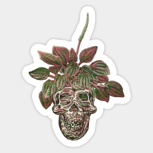 Skull Planter Peperomia Sticker